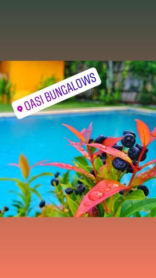 Oasi Bungalows Hotel Gili Air Kültér fotó